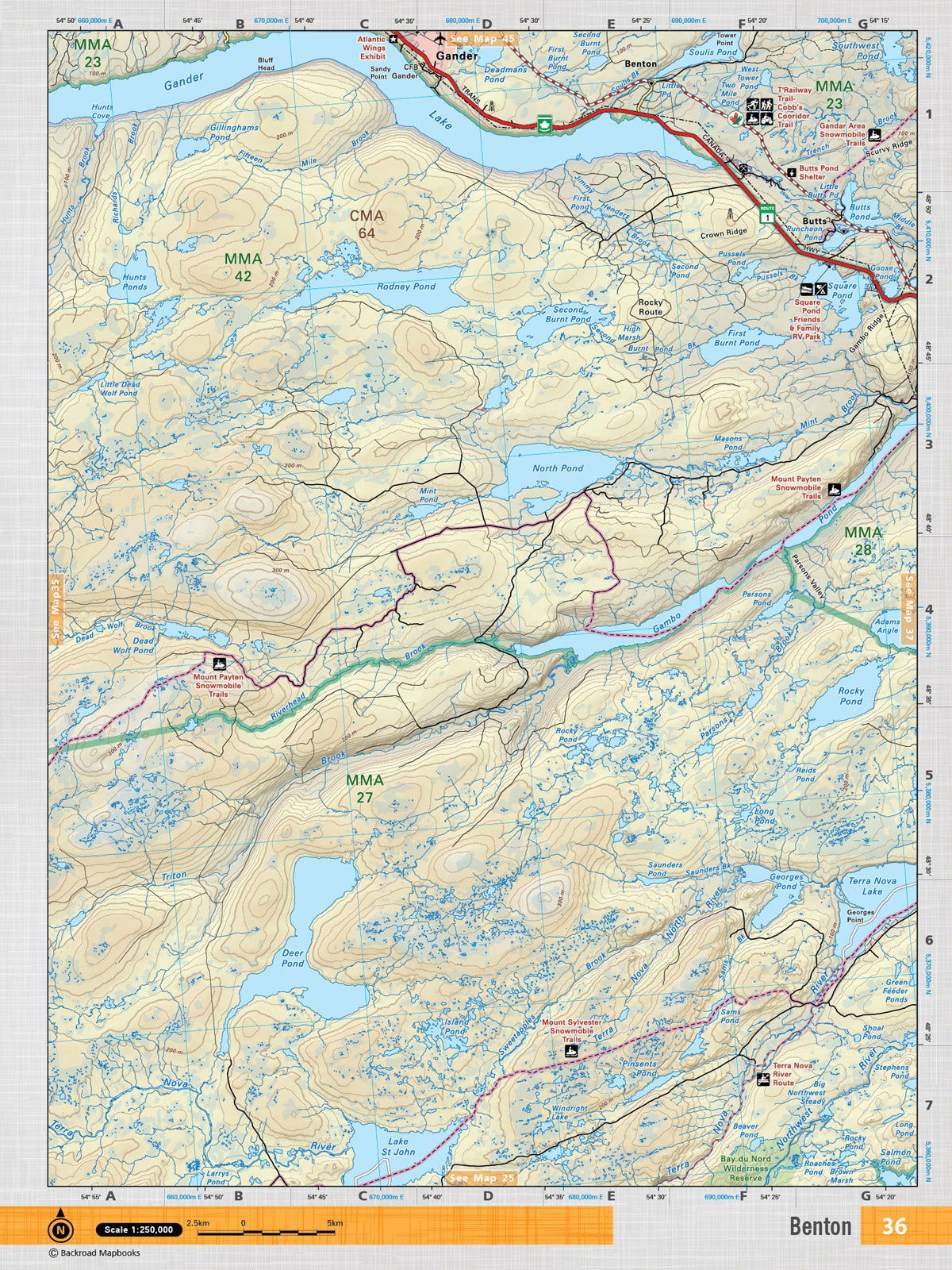 NFLD36 TOPO - Benton - TOPO Map