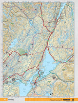 NFLD41 Wall Map - Howley - 