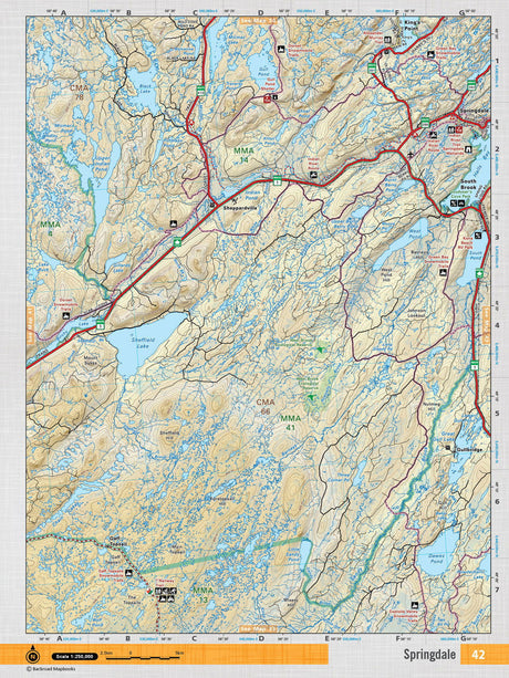 NFLD42 TOPO Map - Springdale - Backroad Maps