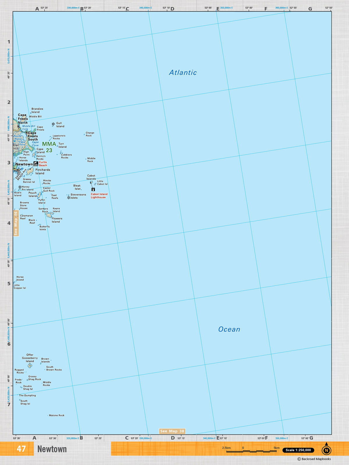 NFLD47 Wall Map - Newtown - 