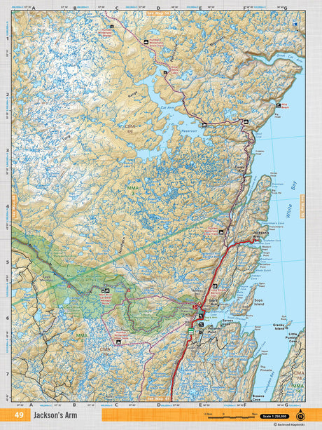 NFLD49 TOPO Map - Jackson's Arm - Backroad Maps