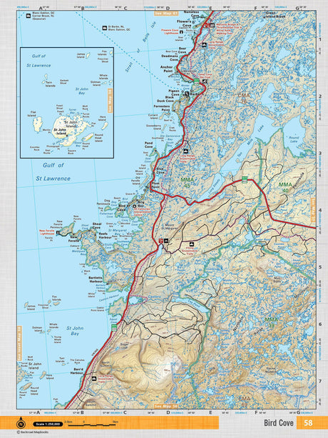 NFLD58 Wall Map - Bird Cove - Backroad Maps