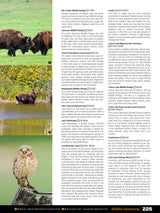 Saskatchewan Backroad Mapbook