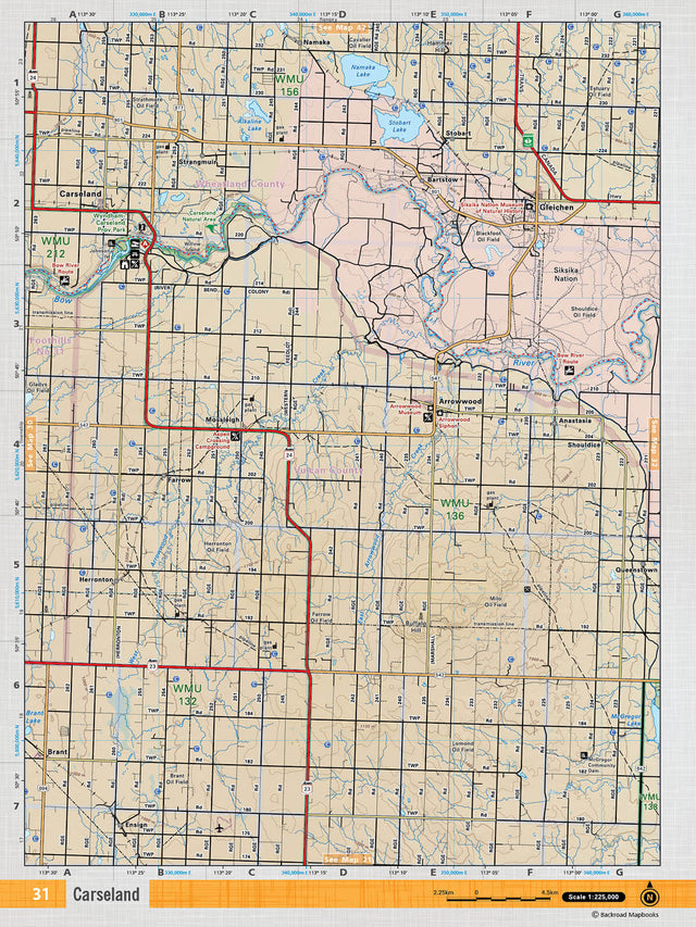 SOAB31 TOPO - Carseland - TOPO Map