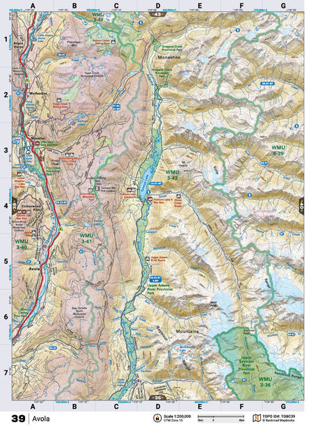 TOBC39 TOPO Map - Avola - Backroad Maps