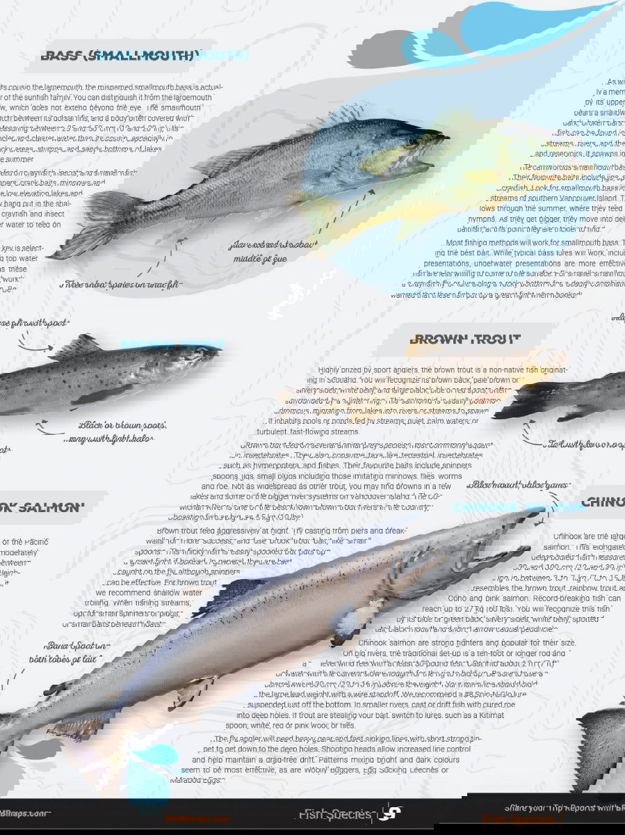 Vancouver Island BC Fishing Mapbook - Backroad Maps