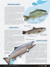 Vancouver Island BC Fishing Mapbook - Backroad Maps