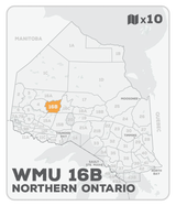 WMU 16B Hunting Bundle - Northern Ontario (10 maps) - Hunting Bundle