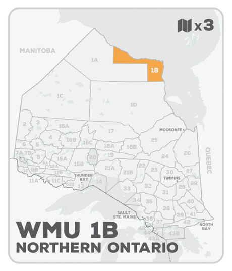 WMU 1B Ontario Hunting Bundle - Northern Ontario (3 maps) - Hunting Bundle