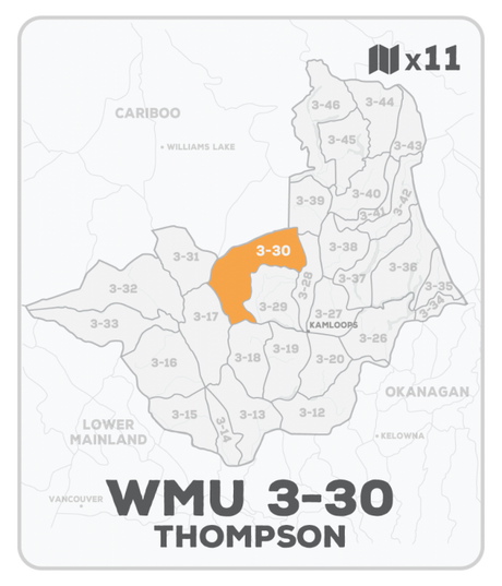 WMU 3-30 Hunting Bundle - Thompson Region BC (11 maps) - Hunting Bundle