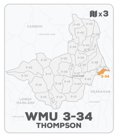 WMU 3-34 Hunting Bundle - Thompson Region BC (3 maps) - Hunting Bundle