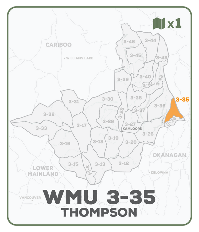WMU 3-35 Thompson Region - Hunting Topo BC - Backroad Maps