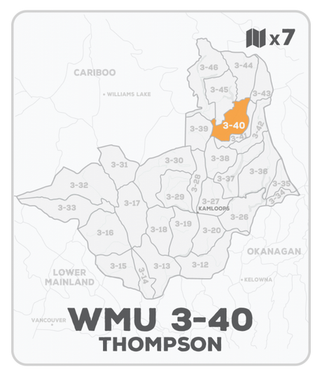 WMU 3-40 Hunting Bundle - Thompson Region BC (7 maps) - Hunting Bundle