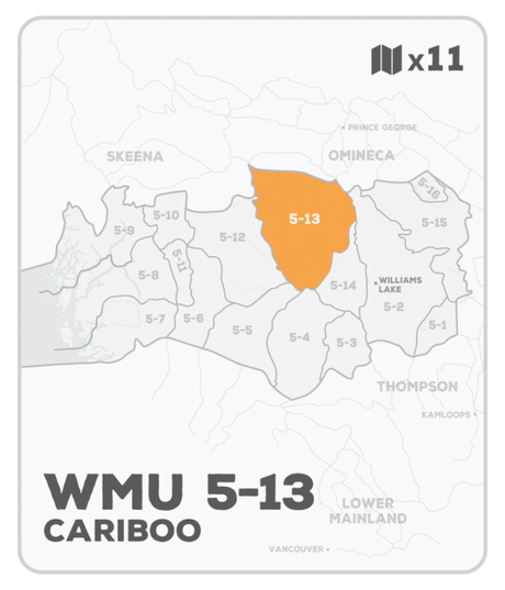 WMU 5-13 Hunting Bundle - Cariboo Region BC (11 maps) - Hunting Bundle