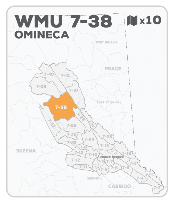 WMU 7-38 Hunting Bundle - Omineca Region BC - Backroad Maps