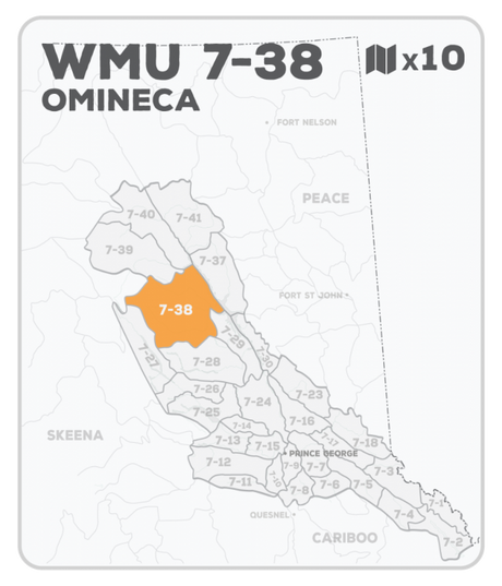 WMU 7-38 Hunting Bundle - Omineca Region BC - Backroad Maps
