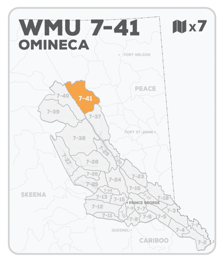 WMU 7-41 Hunting Bundle - Omineca Region BC - Backroad Maps